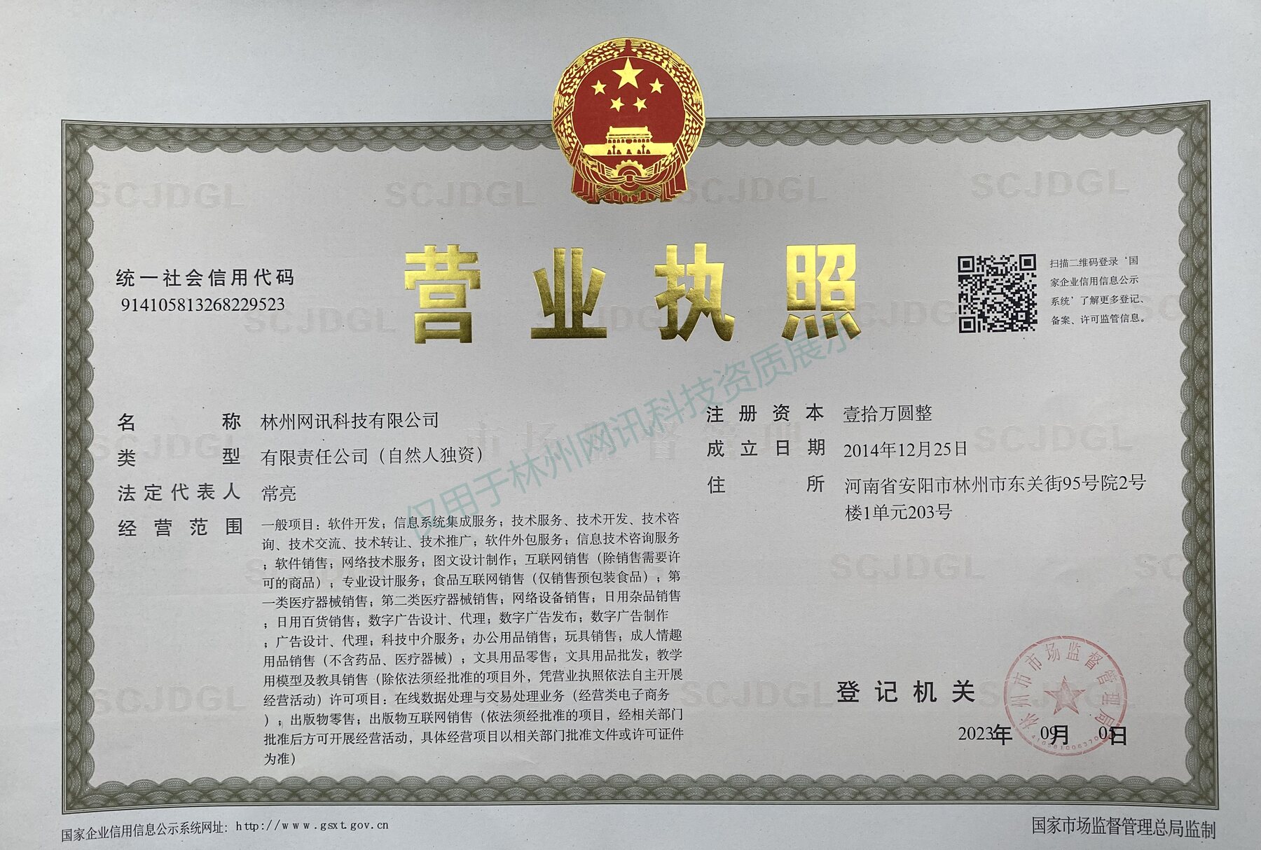 林州网讯科技有限公司营业执照展示图